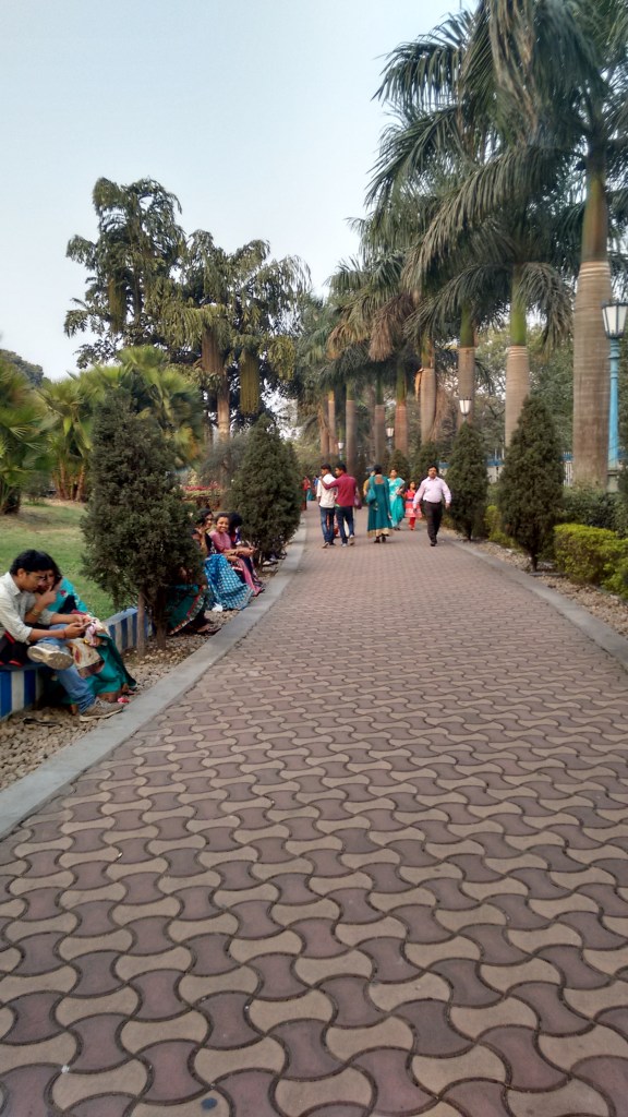 IMG_20150125_161736018_HDR